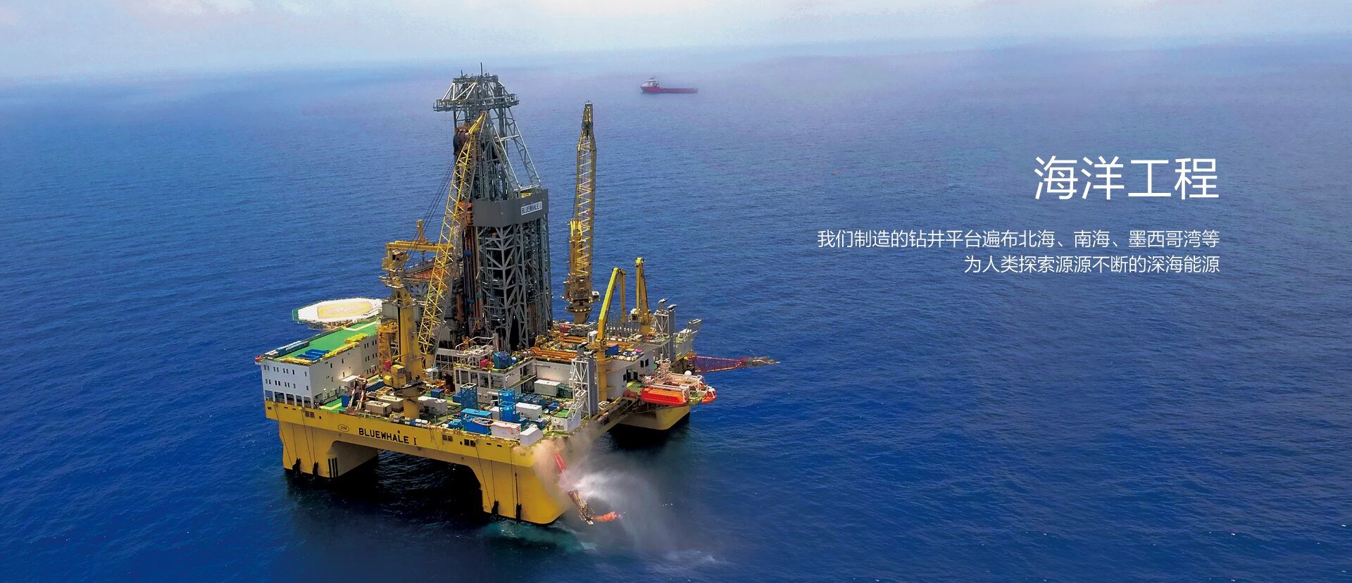 NG电子游戏集团